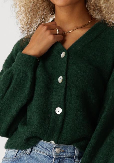 Grüne MSCH COPENHAGEN Strickjacke MSCHPETRINELLE HOPE CARDIGAN - large