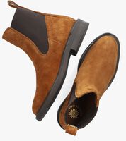 Cognacfarbene SCOTCH & SODA Chelsea Boots HAILEY BOOT - medium