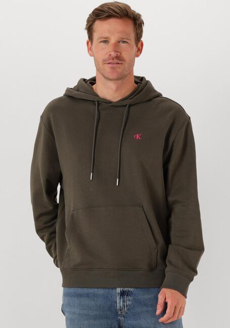 Graue CALVIN KLEIN Sweatshirt LS EU 350TERRY MONOGRAM HOODIE - large