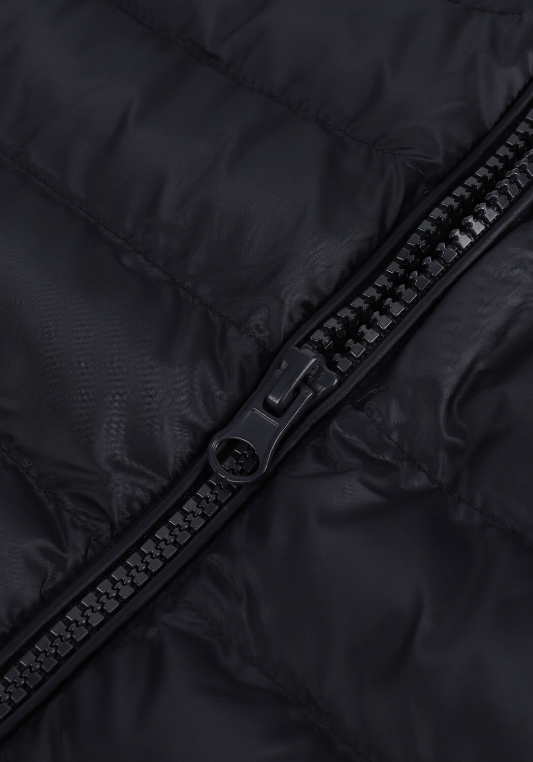 Dunkelblau PROFUOMO Bodywarmer PPTU1-B - large