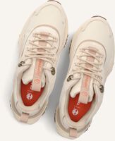 Beige TIMBERLAND Sneaker Low MOTION ACCES LOW LACE UP Beige TIMBERLAND Sneaker Low MOTION ACCES LOW LACE UP - medium