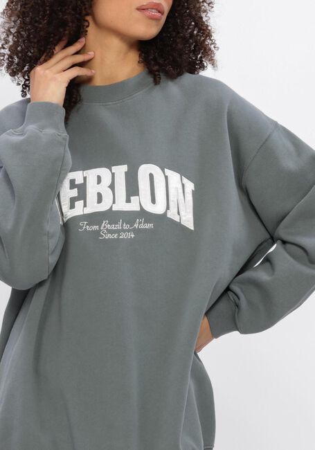 Gr&uuml;ne DEBLON SPORTS Sweatshirt PHOEBE SWEATER - large