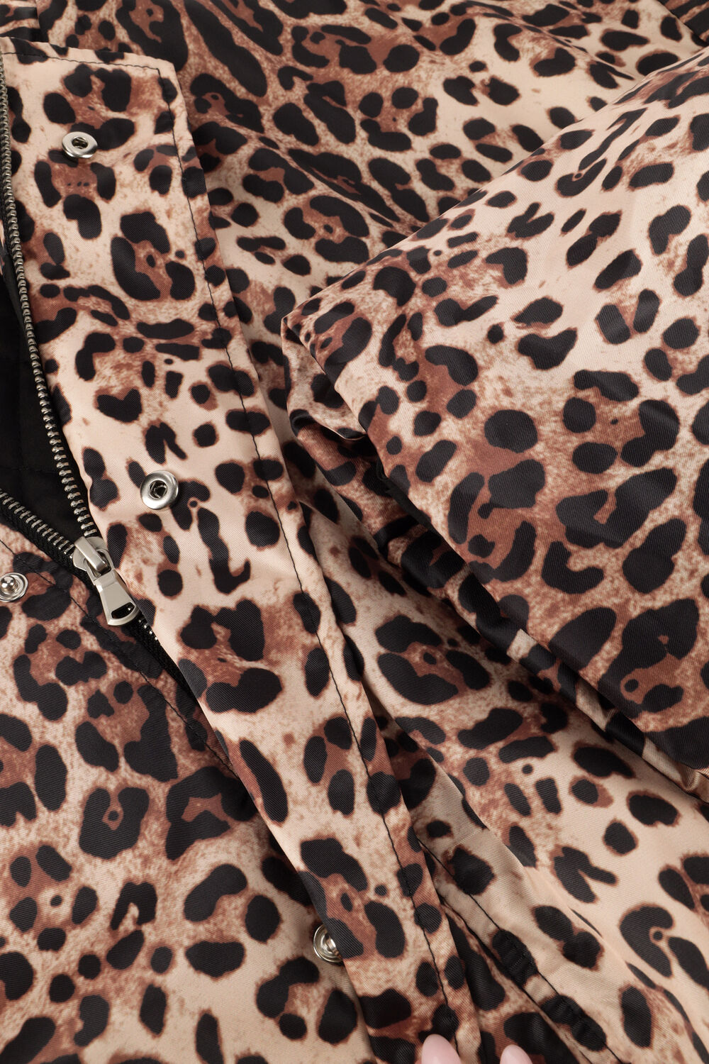 Braune STUDIO AMAYA Jack FELINE - large