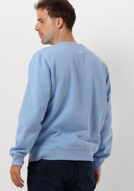Hellblau TOMMY JEANS Pullover TJM REG S FLAG CREW - large