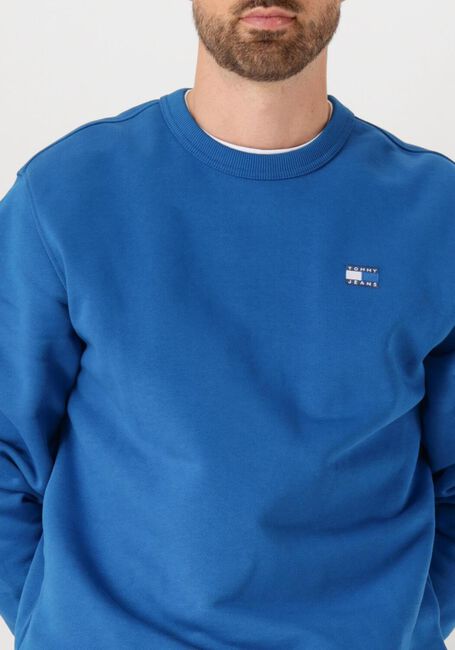 Blaue TOMMY JEANS Pullover TJM REG BADGE CREW EXT - large
