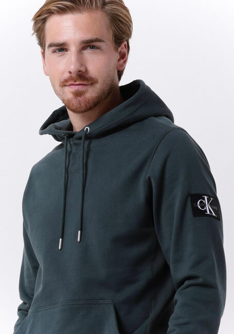 Dunkelgrün CALVIN KLEIN Sweatshirt MONOLOGO SLEEVE BADGE HOODIE - large