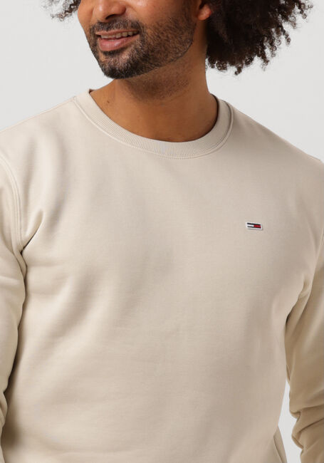 Beige TOMMY JEANS Sweatshirt TJM REGULAR FLEECE C NECK - large