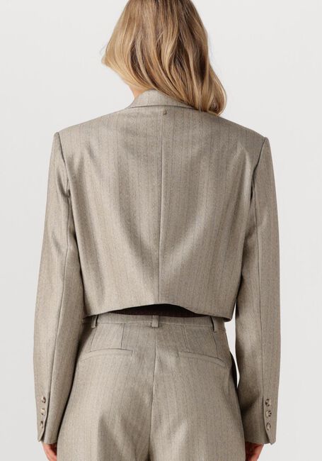 Hellgrau IBANA Blazer JELAH PINESTRIPE - large