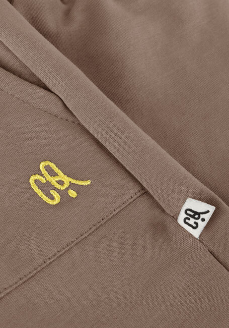 Graue CARLIJNQ Kurze Hose BASIC - SHORTS LOOSE FIT - large