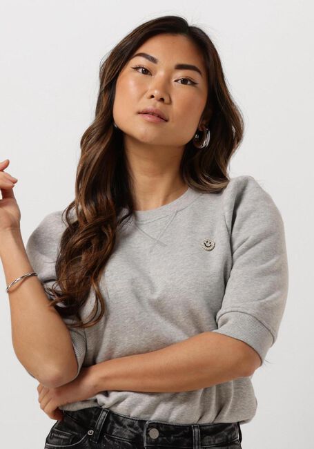 Hellgrau JANICE Pullover FRANK - large