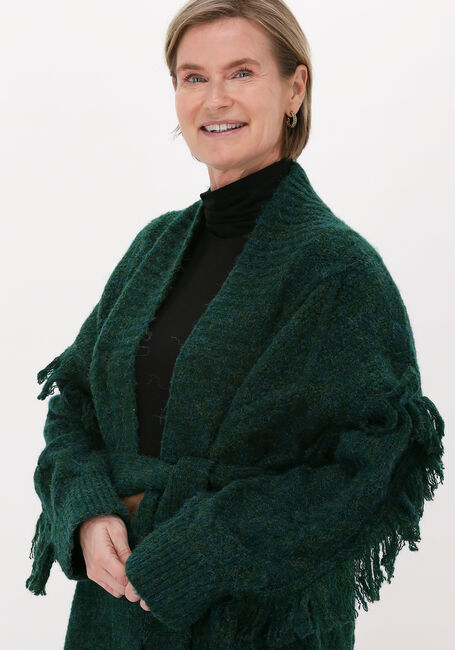 Dunkelgrün SILVIAN HEACH Strickjacke LONG CARDIGAN CLEVELAND - large