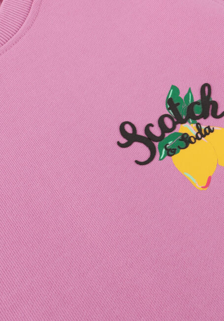 Rosane SCOTCH & SODA Sweatshirt COTTON IN- CONVERSION REGULAR FIT CREWNECK SWEATER - large