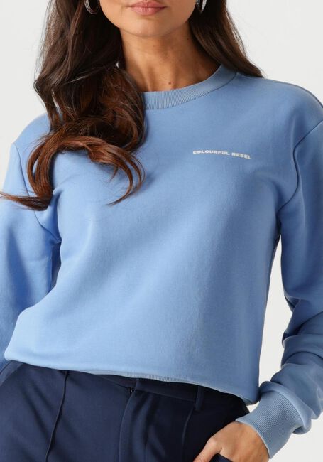 Hellblau COLOURFUL REBEL Sweatshirt LOGO CIRCLE RELAXED SWEAT - large