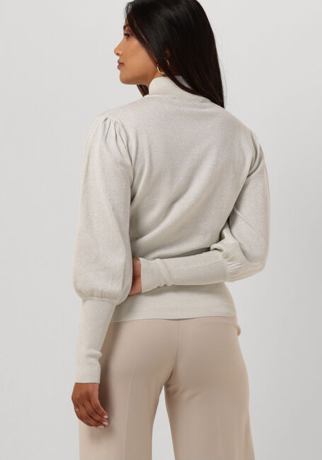 Silberne SILVIAN HEACH Pullover LUPETTO M/L -SWEATER - large