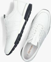 Weiße VAN LIER Sneaker low 2315544 - medium