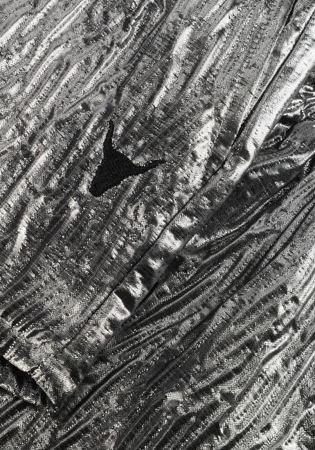 Silberne ALIX MINI Kurze Hose SILVER SHORTS - large