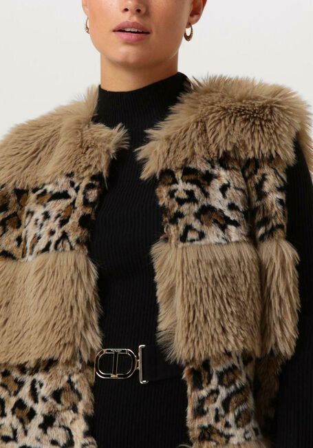 Braune TWINSET MILANO Gilet 13353140-CPC - large