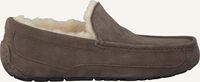 Taupe UGG Hausschuhe ASCOT - medium