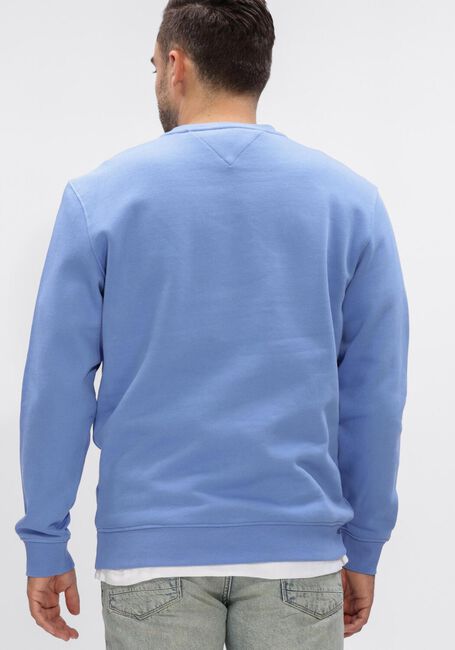 Beige TOMMY JEANS Sweatshirt TJM REG LINEAR CREW EXT - large