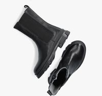 Schwarze TON & TON Ankle Boots HOLLY - medium