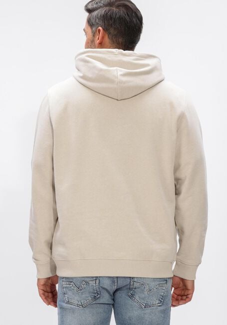 Beige TOMMY JEANS Sweatshirt TJM REG LINEAR CREW EXT - large