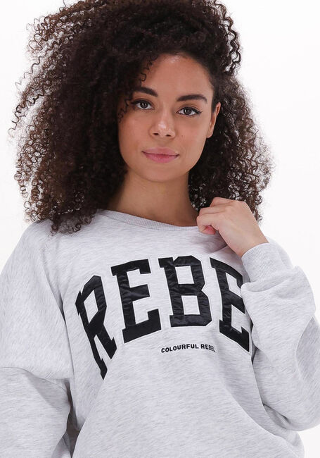 Hellgrau COLOURFUL REBEL Sweatshirt REBEL PATCH DROPPED SHOULDER SWEAT - large
