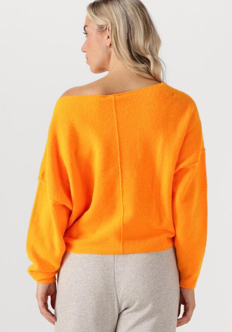 Orangene AMERICAN VINTAGE Pullover DAMSVILLE - large