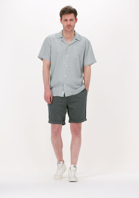 Dunkelgrün SELECTED MEN Kurze Hose SLHCOMFORT-LUTON FLEX SHORTS W - large