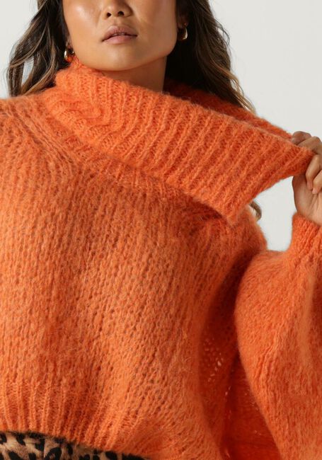 Orangene AMERICAN DREAMS Rollkragenpullover PEPPER ROLL NECK CROPPED - large