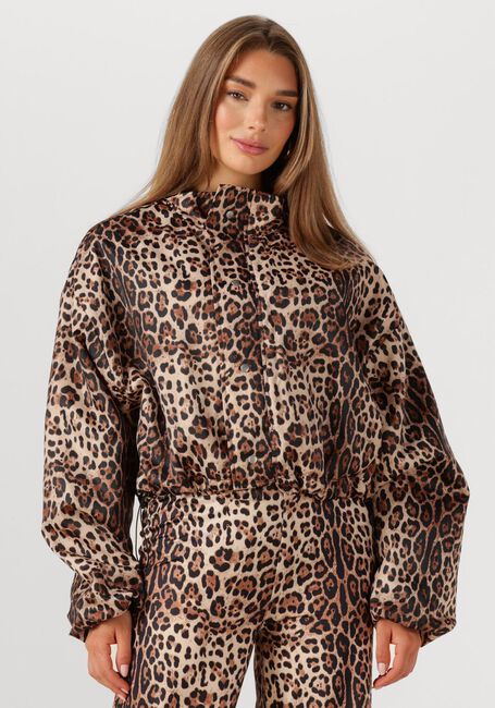 Braune STUDIO AMAYA Jack FELINE - large
