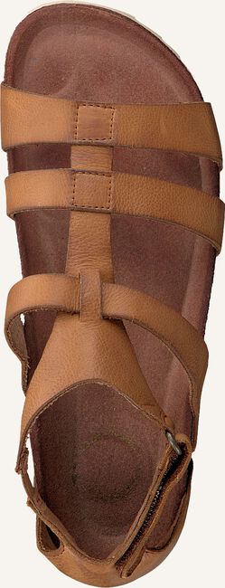 Braune CA'SHOTT Flache Sandalen 21250 Braune CA'SHOTT Flache Sandalen 21250 - large