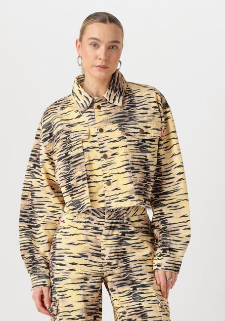 Blaue HARPER & YVE Jack WILLOW-JA - large