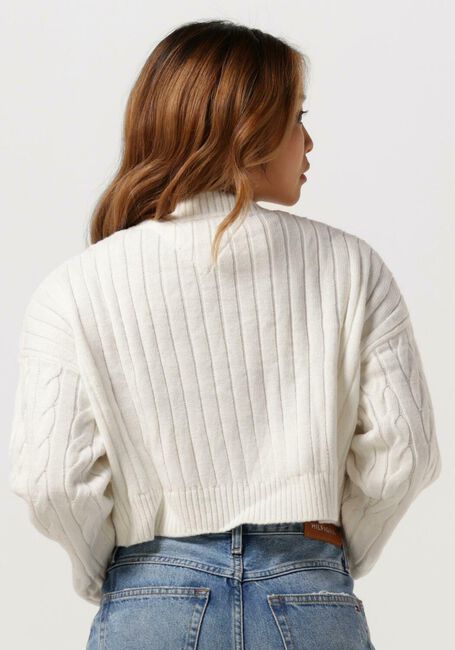 Weiße TOMMY JEANS Pullover SWEATERS CROP - large