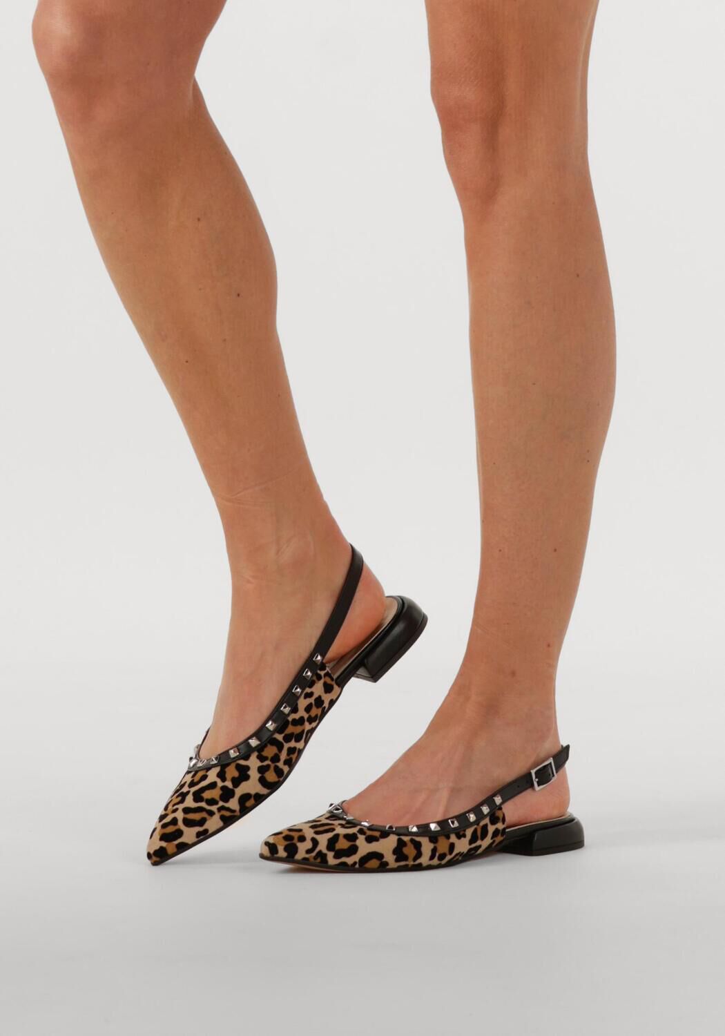 Braune NOTRE-V Slingbacks 12270 - large