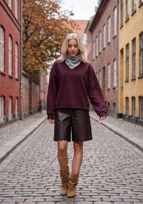 Braune CIRCLE OF TRUST Kurze Hose PHEBE SHORT - large