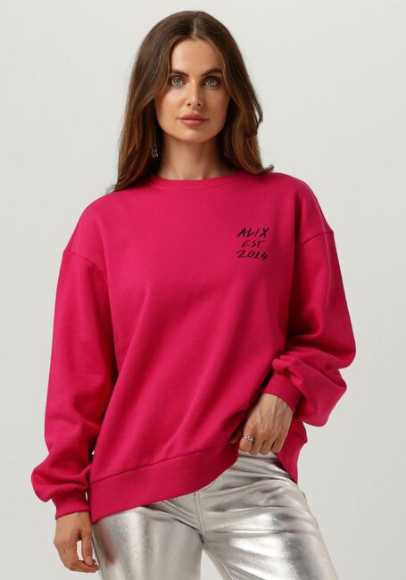 Rosane ALIX THE LABEL Pullover 2014 SWEATER - large