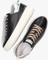 Schwarze NERO GIARDINI Sneaker low 17050 - medium