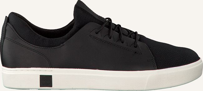 Schwarze TIMBERLAND Sneaker Low AMHERST TRAINER SNEAKER Schwarze TIMBERLAND Sneaker Low AMHERST TRAINER SNEAKER - large