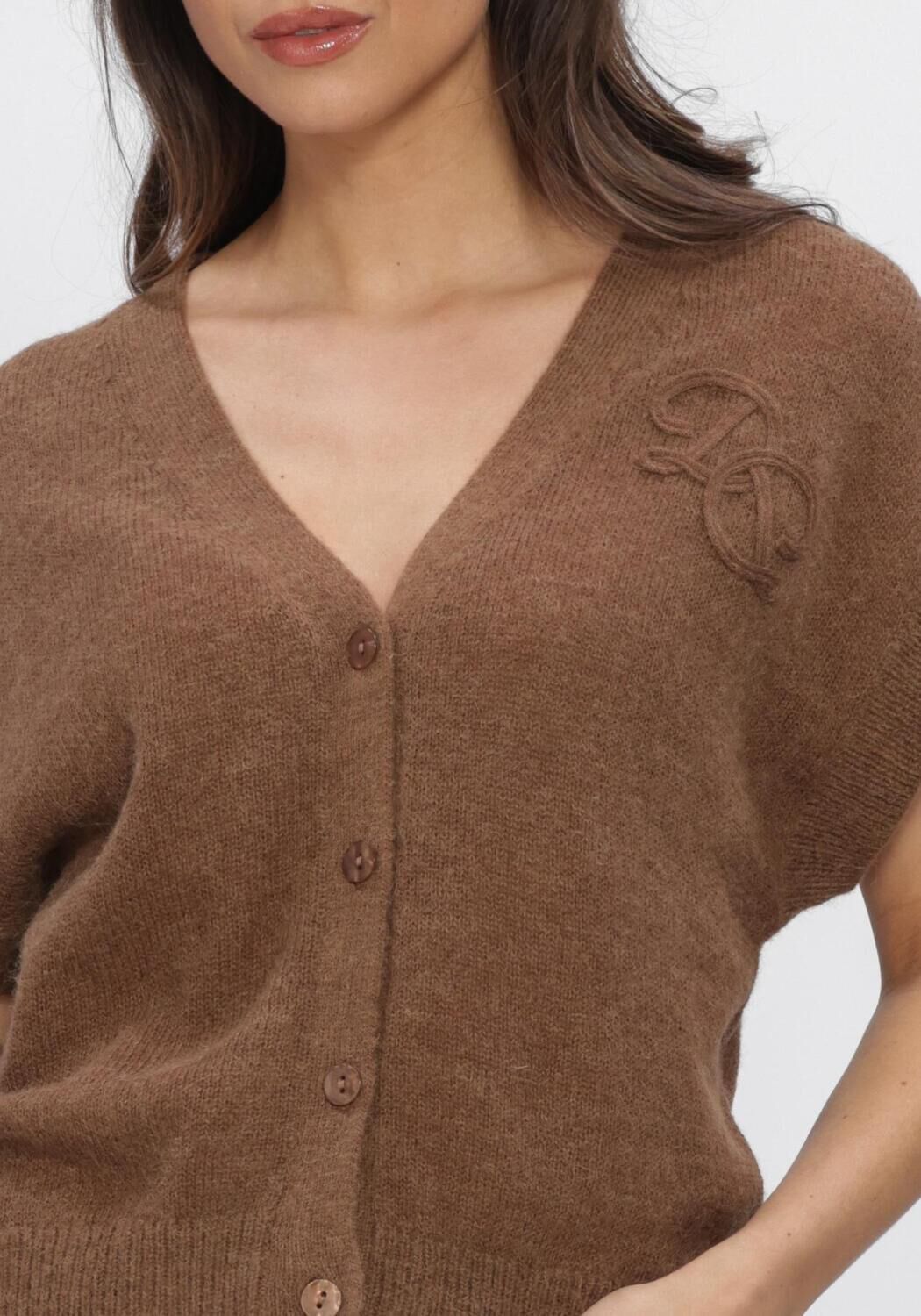 Braune DANTE6 Strickjacke ZYRA SHORT SLEEVE CARDIGAN - large