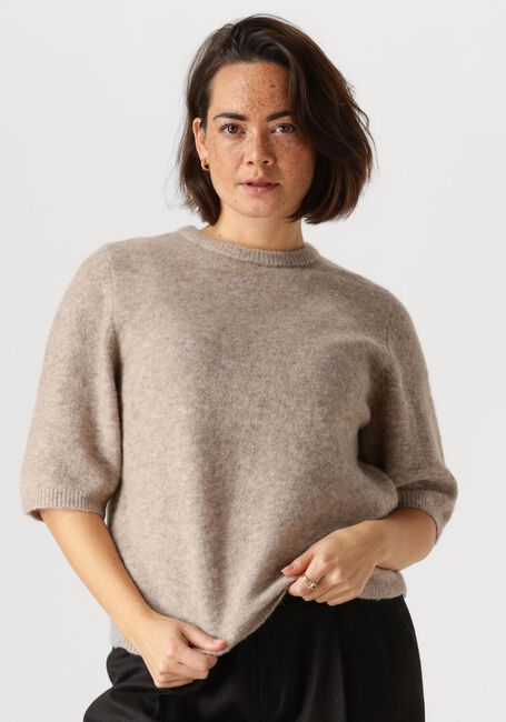 Braune GESTUZ Pullover ALPHAGZ SS TEE - large