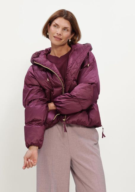 Bordeaux BEAUMONT Wattierte Jack MARIAN JACKET - large