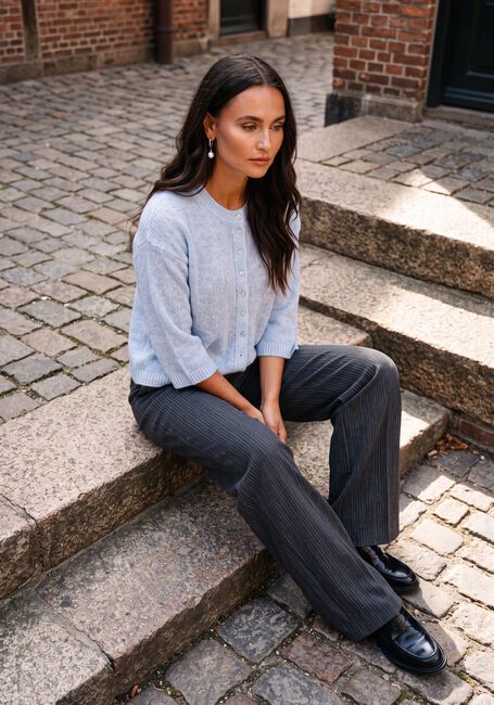 Blaue MODSTR&Ouml;M Pullover & Cardigans BAILORMD CARDIGAN - large