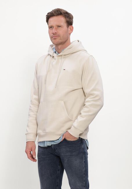Ecru TOMMY JEANS Sweatshirt TJM REG S FLAG HOODIE EXT - large