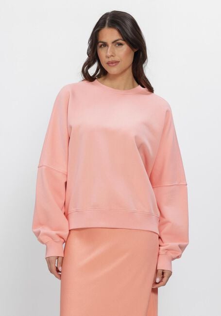 Rosane DRYKORN Pullover ASTERA_P4 - large