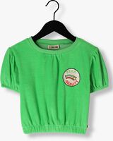 Grüne CARLIJNQ T-shirt BASIC - PUFFED HSORT SLEEVE WITH EMBROIDERY - medium