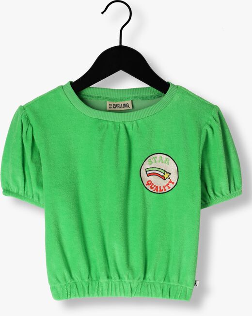 Grüne CARLIJNQ T-shirt BASIC - PUFFED HSORT SLEEVE WITH EMBROIDERY - large
