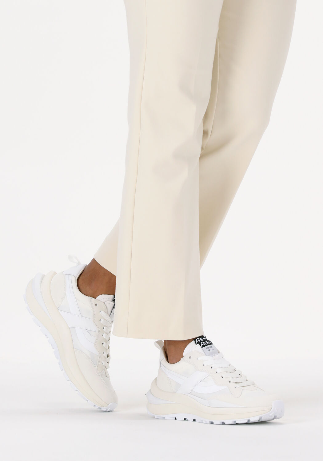 Wei&szlig;e ASH Sneaker Low SPIDER - large