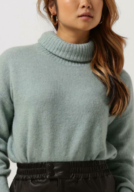 Grüne TIGER OF SWEDEN Pullover PAXI A - large