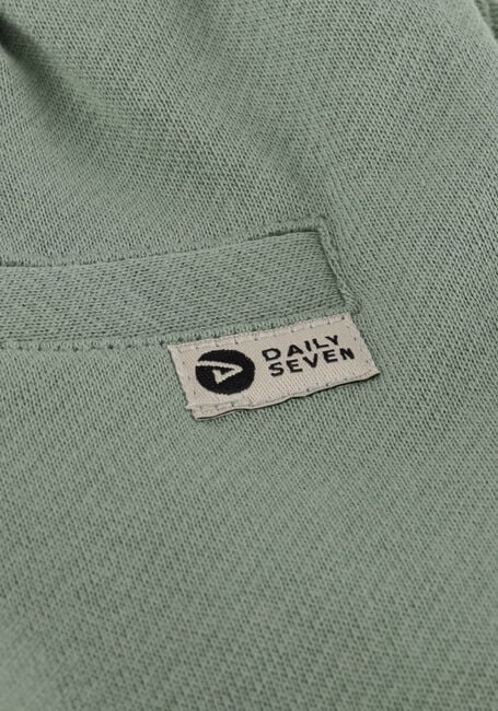 Gr&uuml;ne DAILY7 Kurze Hose SHORTS STRUCTURE - large