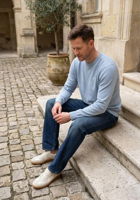 Hellblau LEVI'S Pullover LIGHTWEIGHT HM SWEATER RUTABAGA PIQUE - large